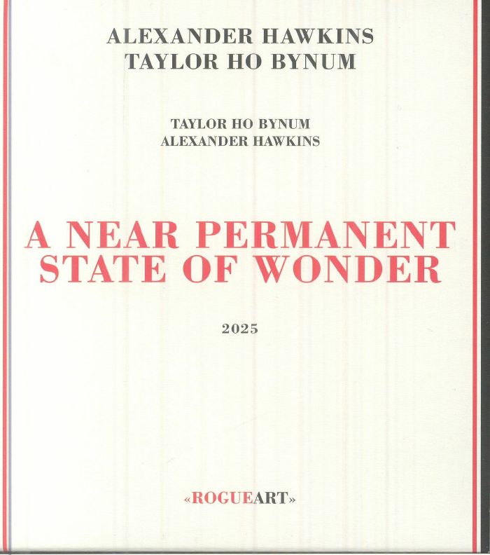 A Near Permanent State of Wonder - CD CD cover