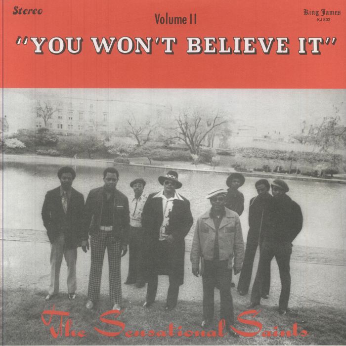 You Won't Believe It - Vinyl LP vinyl record cover