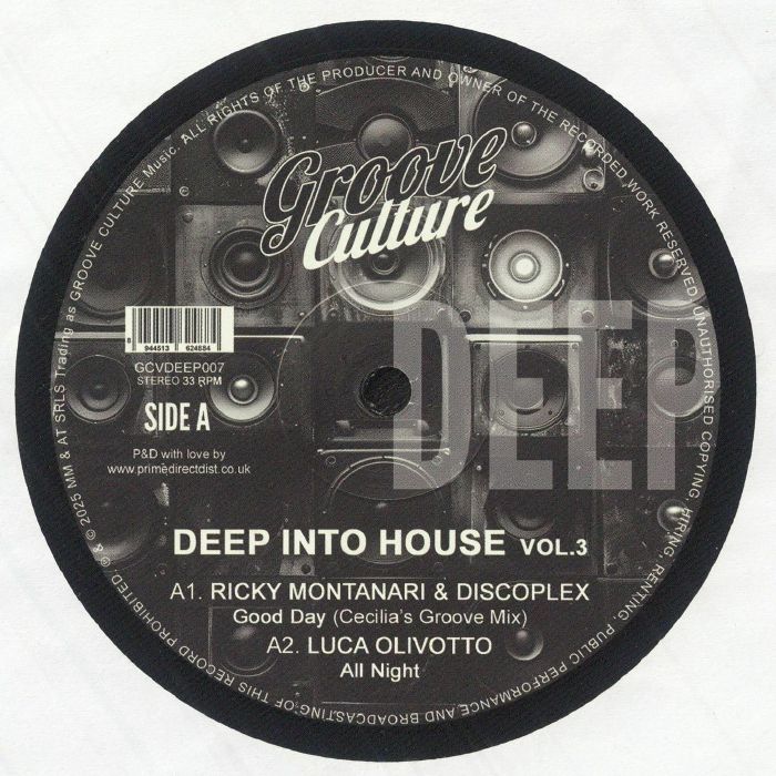 Deep Into House Vol 3 - Vinyl EP vinyl record cover