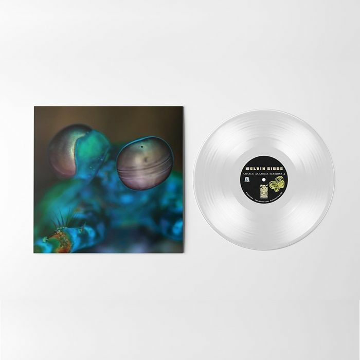 Amasia: Anamibia Sessions 2 - Clear Vinyl LP vinyl record cover