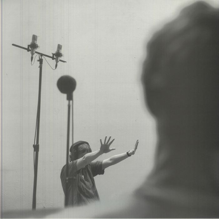 Affordances - Vinyl LP vinyl record cover