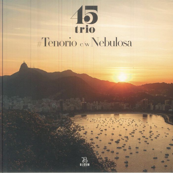 Tenorio - Vinyl Single vinyl record cover