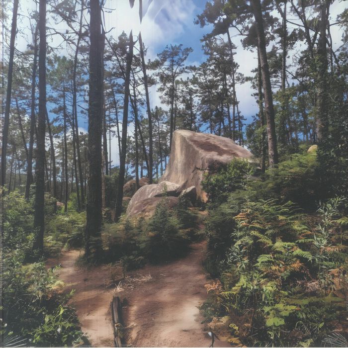 Parajekt - Vinyl LP vinyl record cover