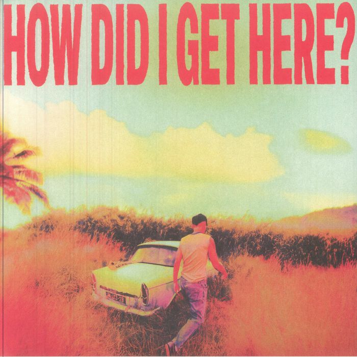 How Did I Get Here? - Indie Exclusive Coloured Vinyl LP vinyl record cover