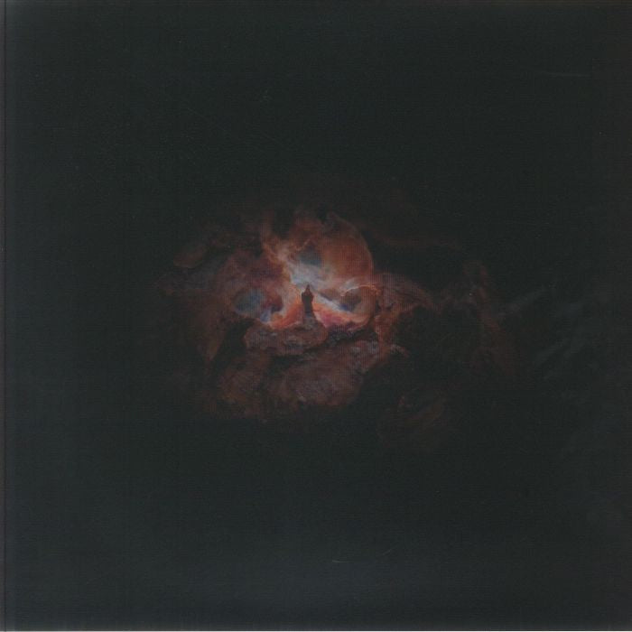 The Dying Of The Light - Limited Edition Vinyl LP vinyl record cover