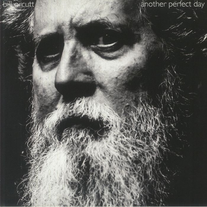 Another Perfect Day - Vinyl LP vinyl record cover