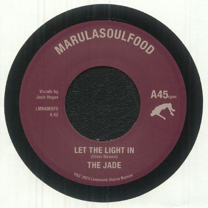 Let The Light In - Vinyl Single vinyl record cover