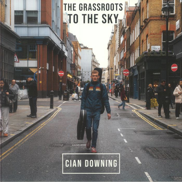 The Grassroots To The Sky - Vinyl LP vinyl record cover