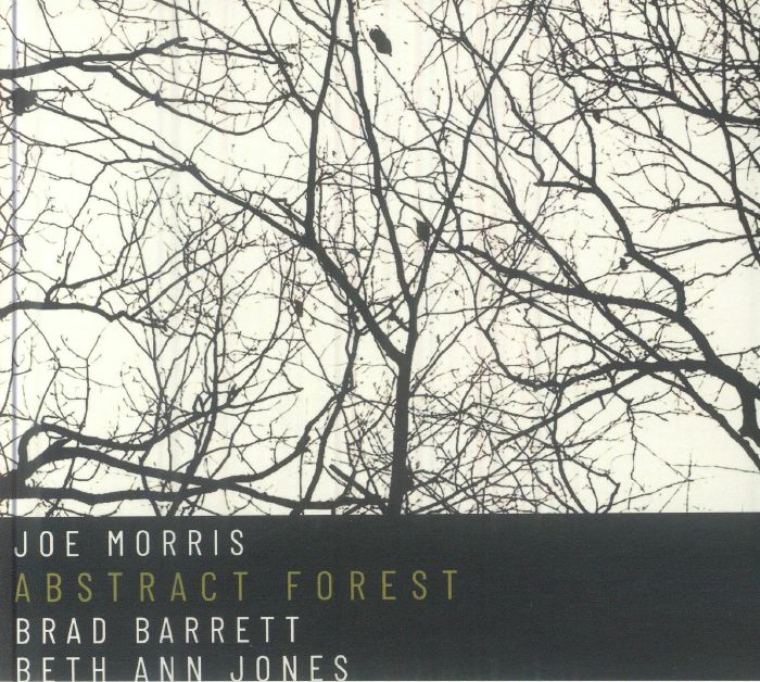 Abstract Forest - Limited Edition CD CD cover