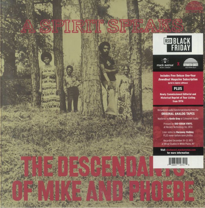 A Spirit Speaks - Vinyl LP vinyl record cover