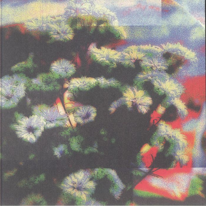 Neon Gardens EP - Vinyl EP vinyl record cover