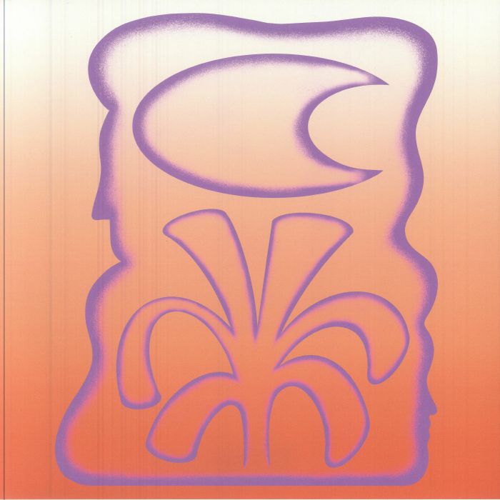 Solar Paint & The Melodies In Between - Vinyl LP vinyl record cover