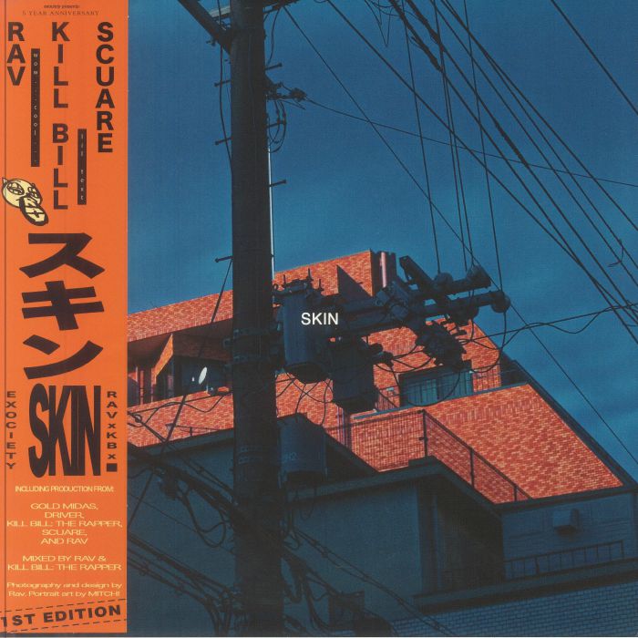 Skin (1st Edition) - Vinyl LP vinyl record cover