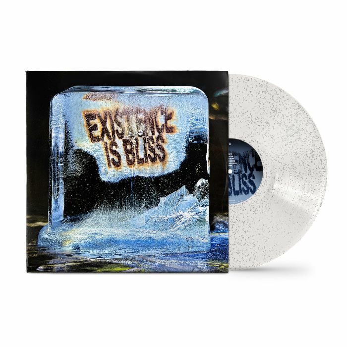 Existence Is Bliss - Transparent Sparkle Vinyl LP vinyl record cover