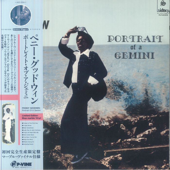 Portrait Of A Gemini - Limited Edition Blue Marbled Vinyl LP vinyl record cover