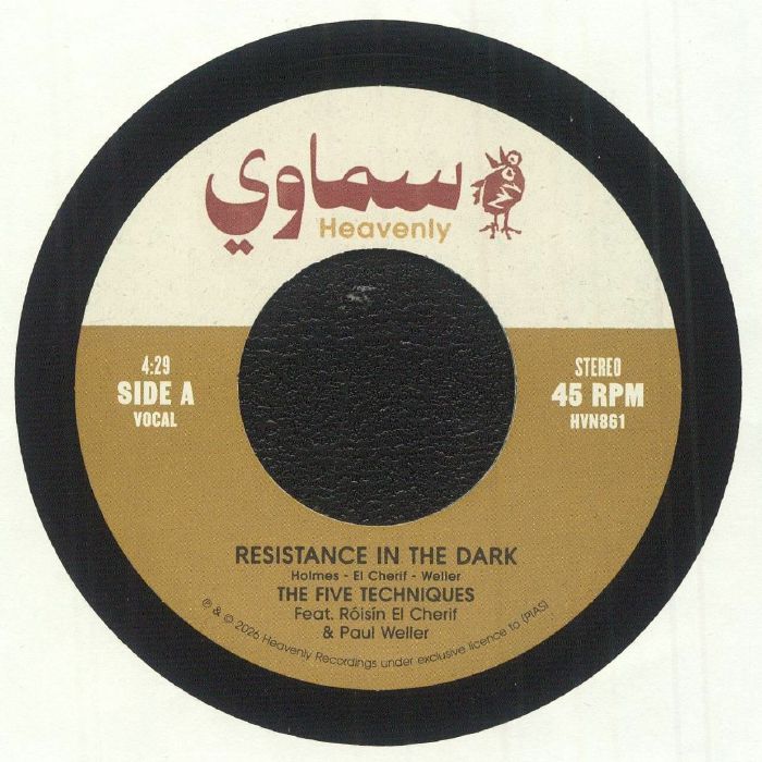 Resistance In The Dark - Vinyl Single vinyl record cover