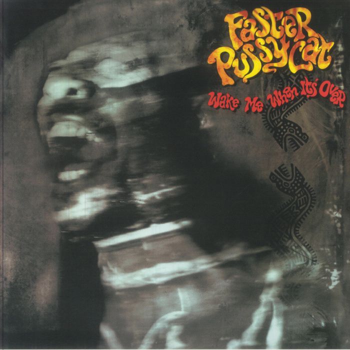Wake Me When It's Over - Vinyl LP vinyl record cover