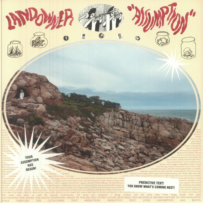 Assumption - Vinyl LP vinyl record cover