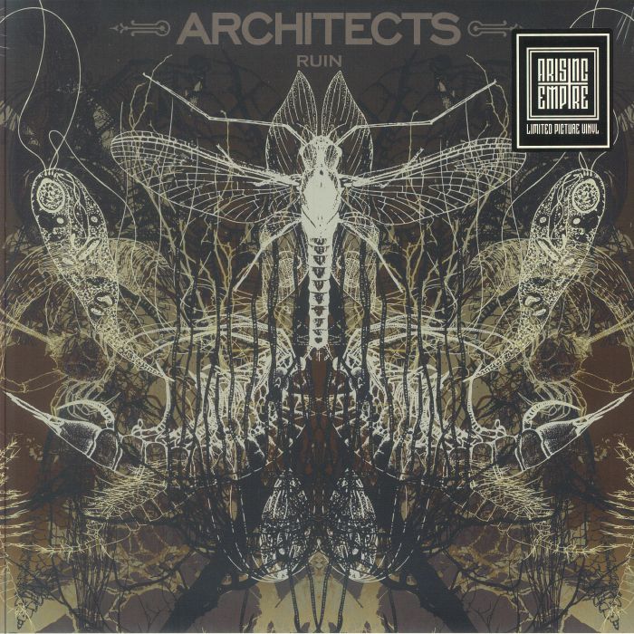 Ruin - Limited Edition Picture Disc Vinyl LP vinyl record cover