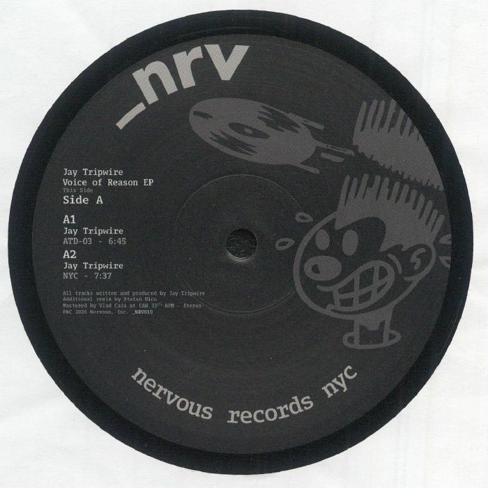 Voice Of Reason EP - Vinyl EP vinyl record cover