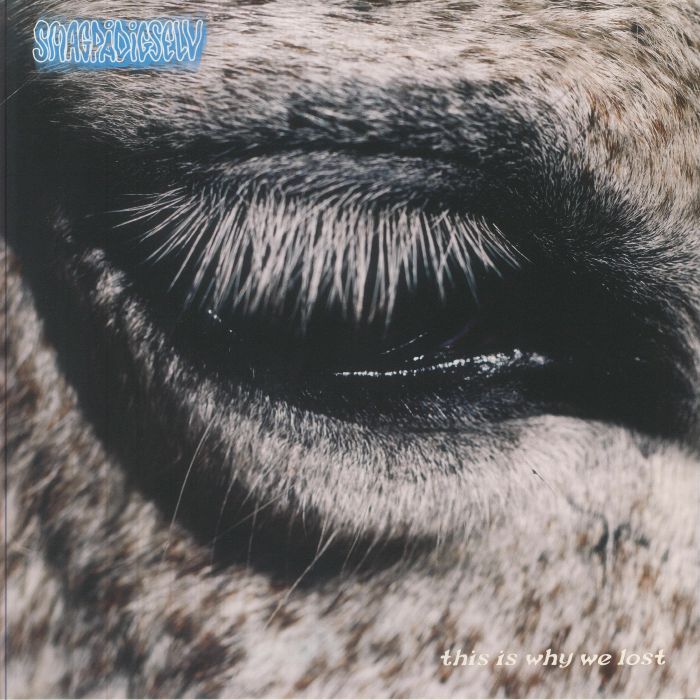 This Is Why We Lost - Vinyl LP vinyl record cover