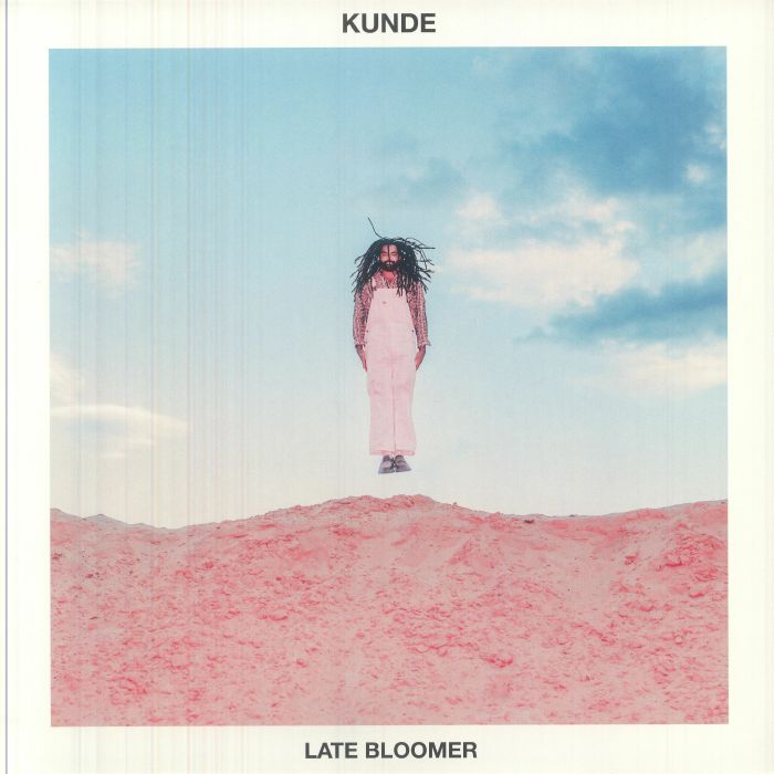 Late Bloomer - Vinyl LP vinyl record cover