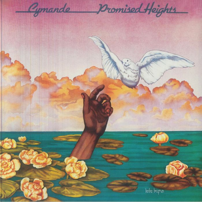 Promised Heights - Vinyl LP vinyl record cover