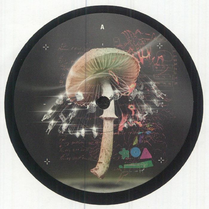 Move 2 The Groove - Vinyl Single vinyl record cover