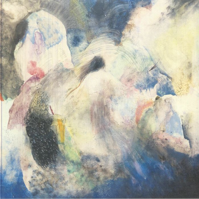 The Space Within - Vinyl LP vinyl record cover