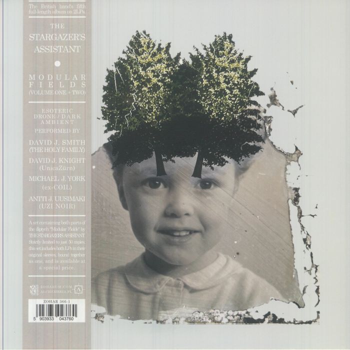 Modular Fields Vol 1 - Limited Edition 2xLP vinyl record cover