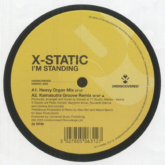 I'm Standing - Vinyl Single vinyl record cover