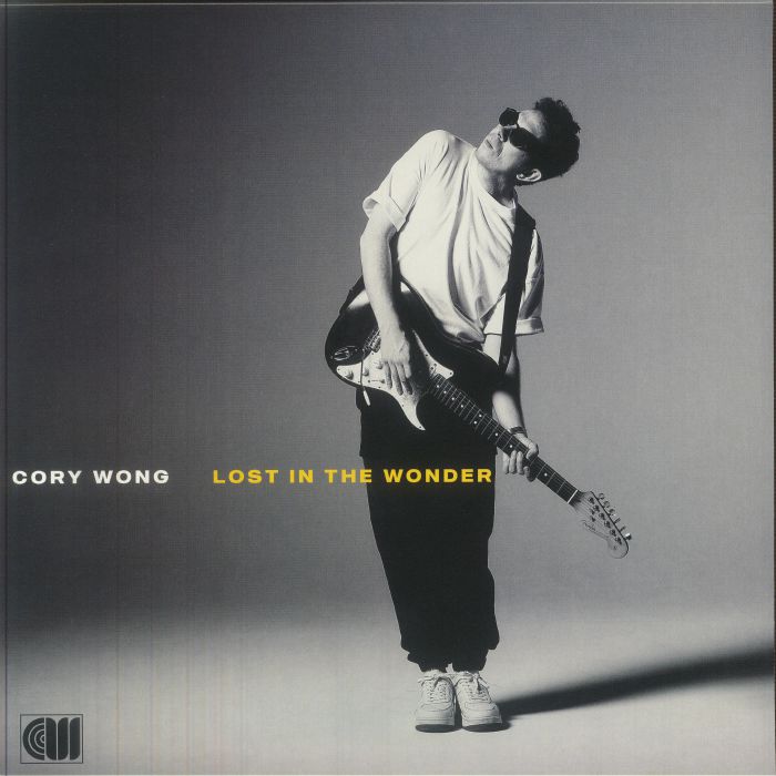 Lost In The Wonder - Vinyl LP vinyl record cover