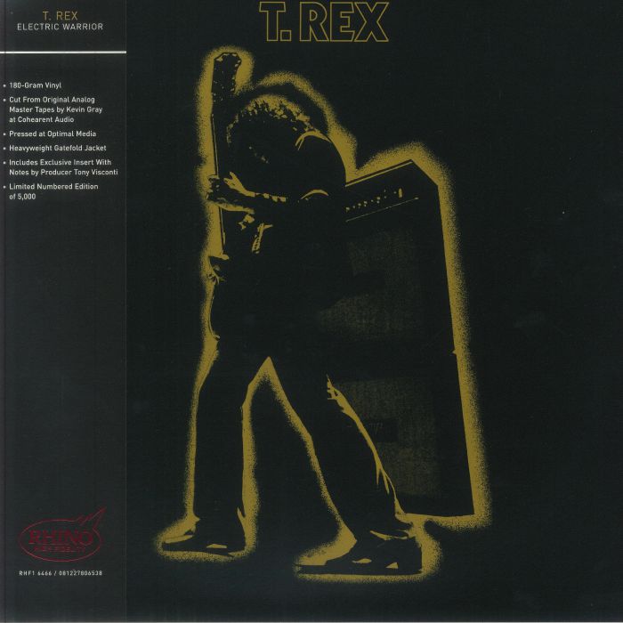 Electric Warrior (Rhino High Fidelity Edition) - Vinyl LP vinyl record cover
