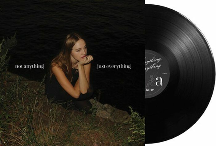 Not Anything Just Everything - Vinyl LP vinyl record cover