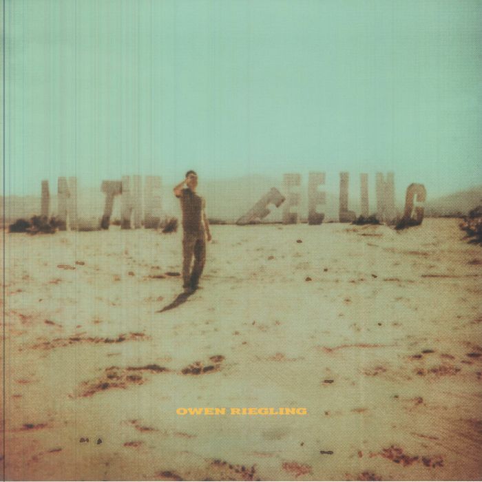 In The Feeling - Vinyl LP vinyl record cover