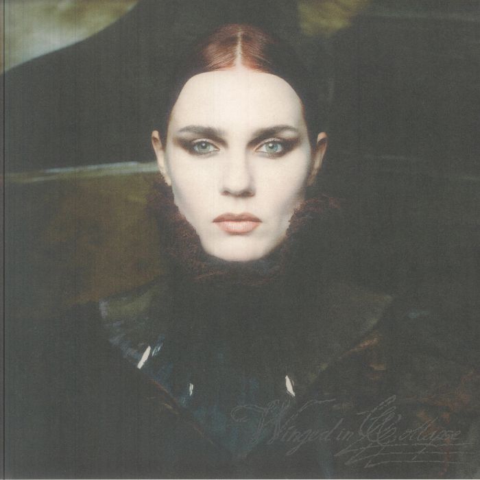 Winged In Collapse - Vinyl LP vinyl record cover