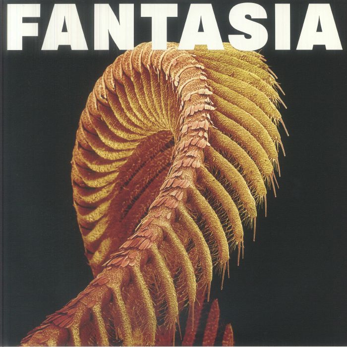Fantasia - Loser Edition Starlight Vinyl 2xLP vinyl record cover