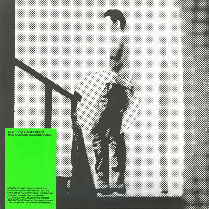 In A Secret Room - Vinyl LP vinyl record cover