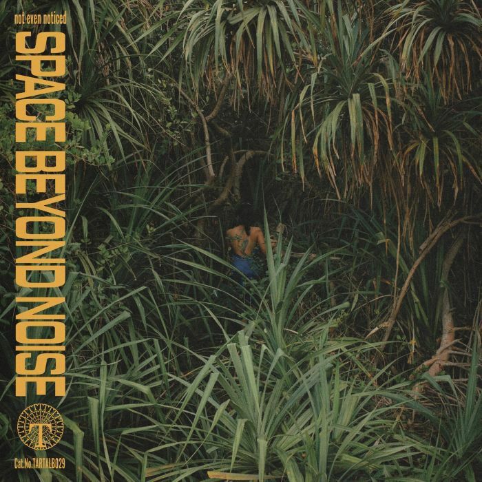 Space Beyond Noise - Limited Edition Vinyl LP vinyl record cover