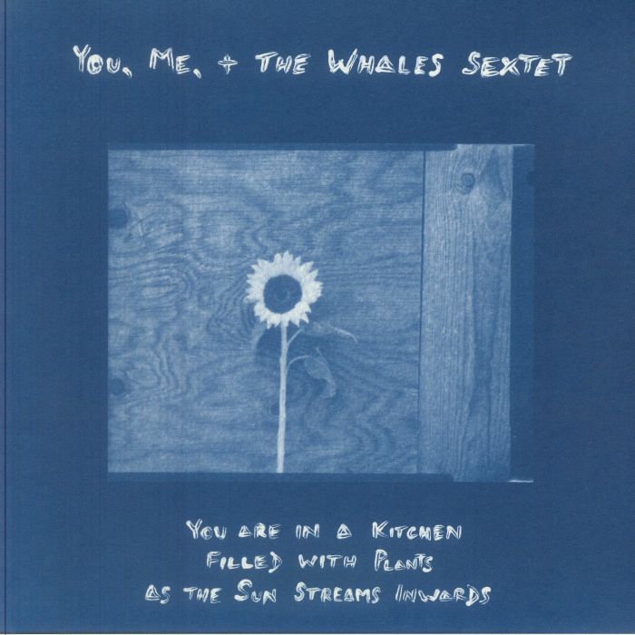 You Are In A Kitchen Filled With Plants As The Sun Streams Inwards - Vinyl LP vinyl record cover