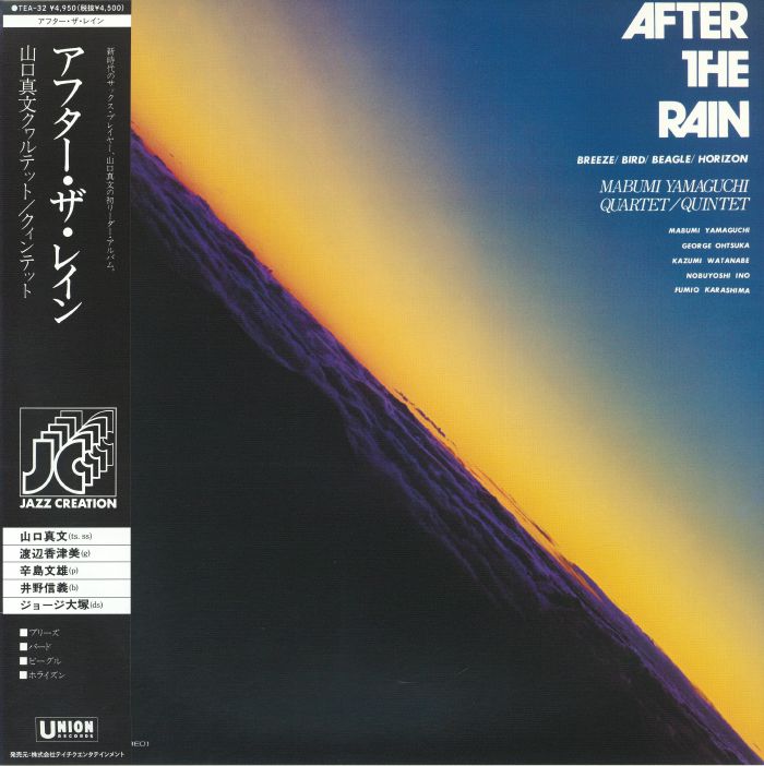 After The Rain - Vinyl LP vinyl record cover