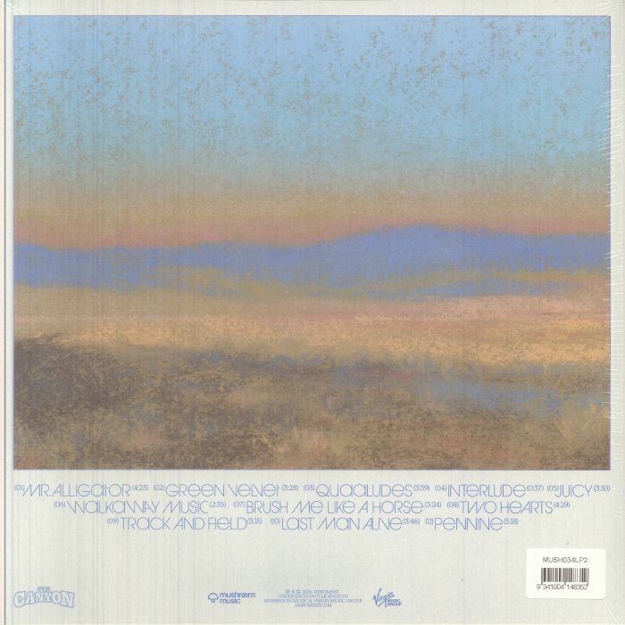 The Canyon - Orange Vinyl LP vinyl record cover