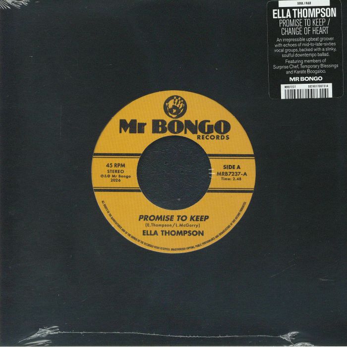 Promise To Keep - Vinyl Single vinyl record cover