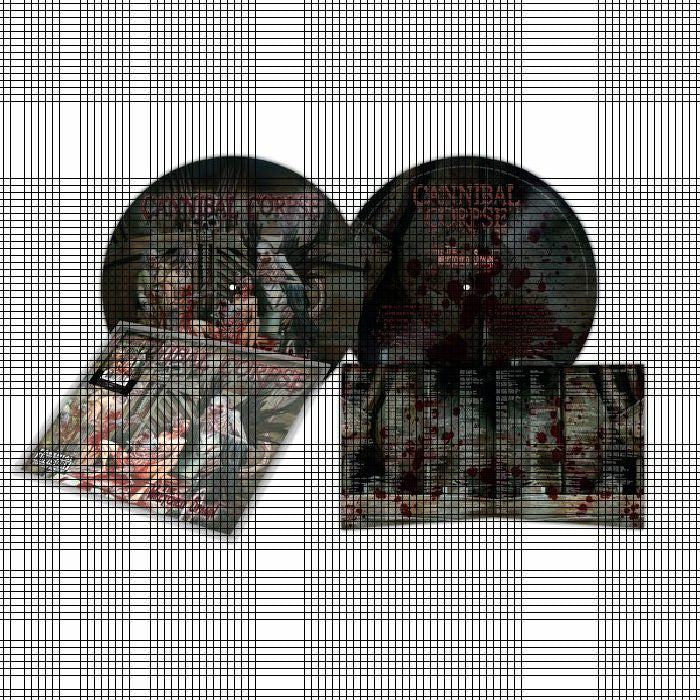 The Wretched Spawn - Picture Disc Vinyl LP vinyl record cover