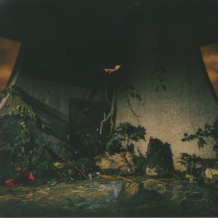 The Plot In You - Limited Edition Hardwood Brown Vinyl LP vinyl record cover