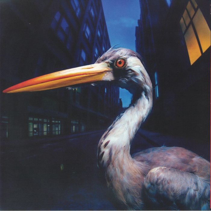Decoding Birdsong - Vinyl LP vinyl record cover