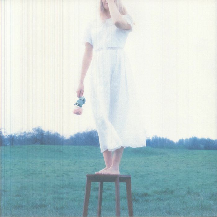 New Love - Vinyl LP vinyl record cover