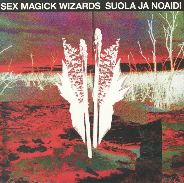 Suola Ja Noaidi - 2xLP vinyl record cover