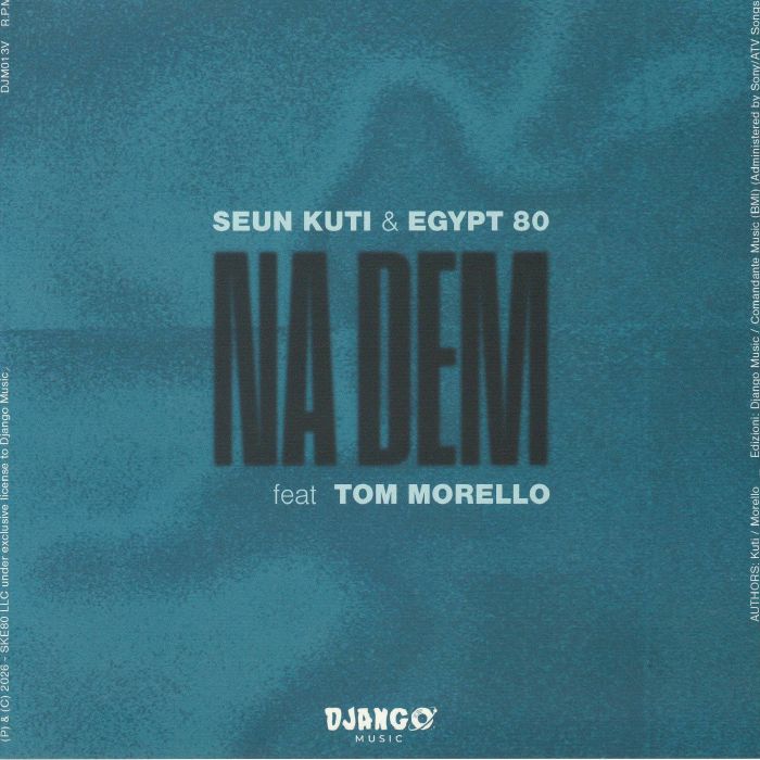 Na Dem - Vinyl Single vinyl record cover
