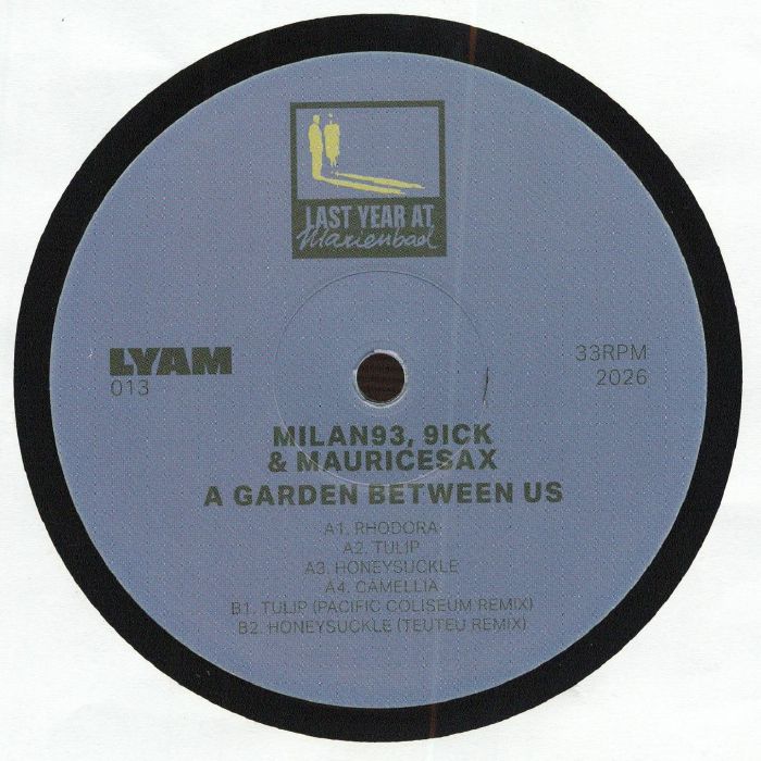 A Garden Between Us - Vinyl EP vinyl record cover